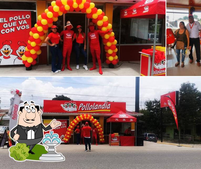 Pollolandia