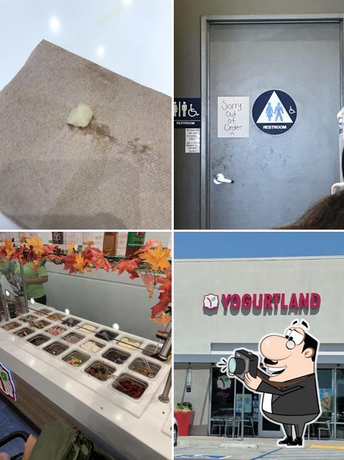 Yogurtland Rialto