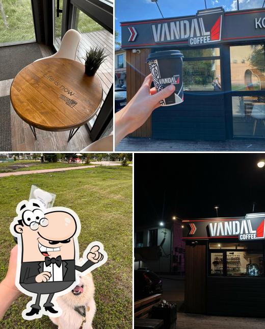 Vandal Coffee