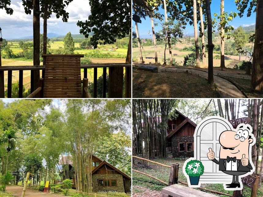 Huanam Mushroom Farm
