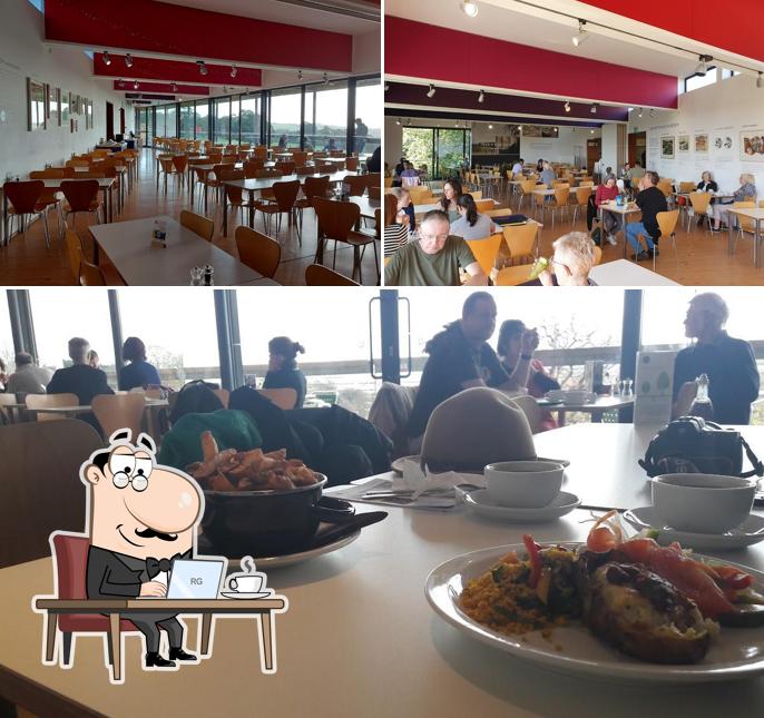 YSP Restaurant