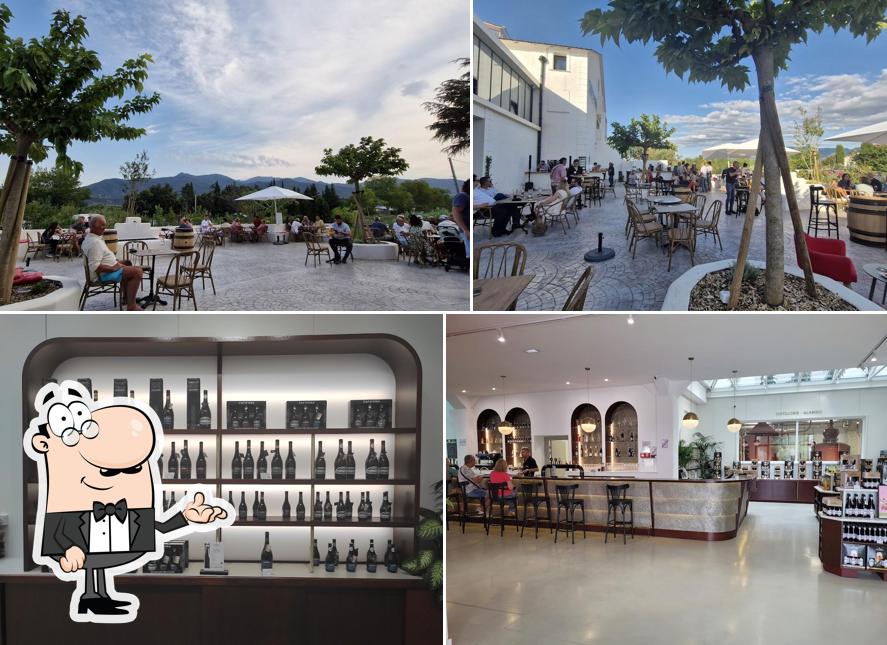 Casa Cap d'Ona Céret Bar Boutique