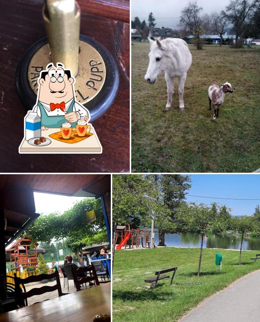 Bistro NA PŮL CESTY (,U Páji'')