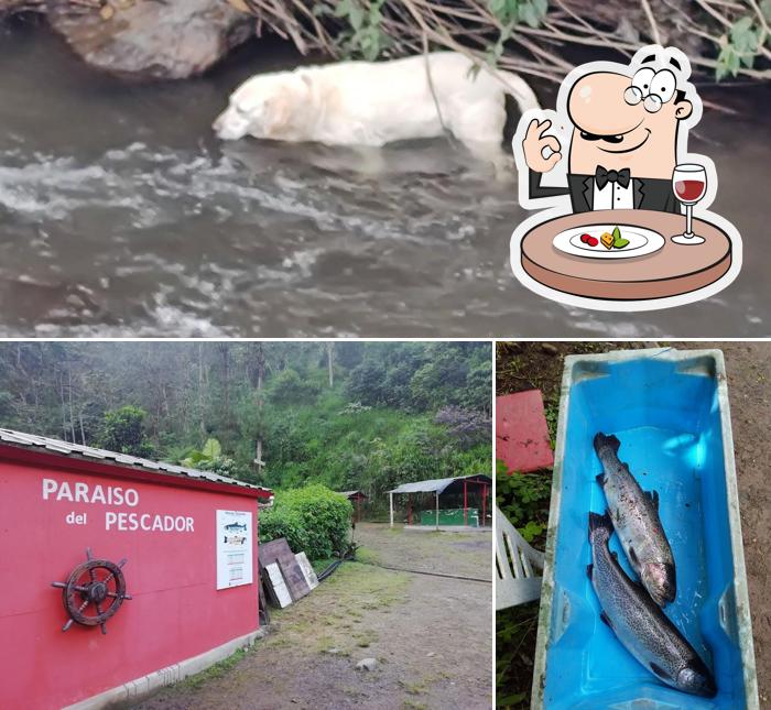 Paraíso del Pescador - Pesca deportiva