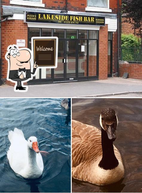 Lakeside Fish Bar