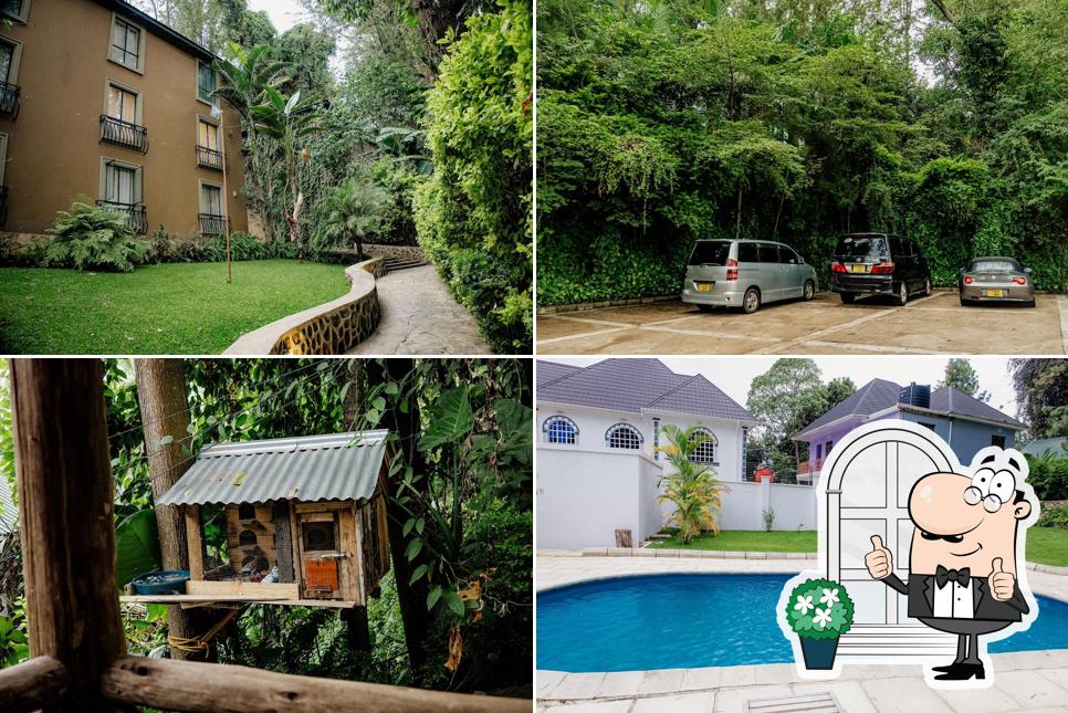 Malkia Trees Lodge