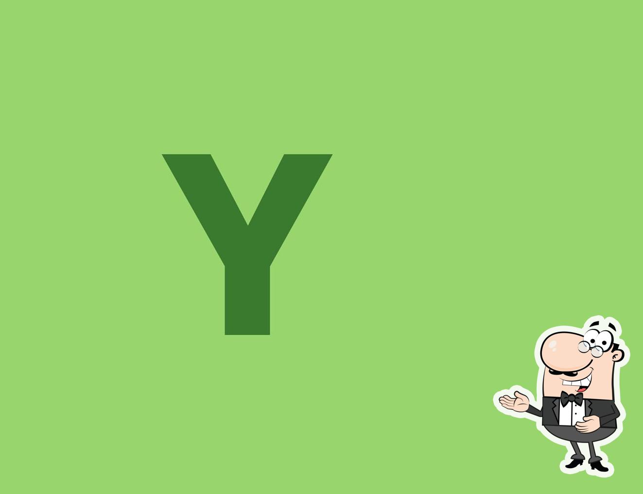 Y S Restaurant