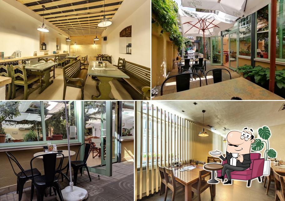 Дивака
