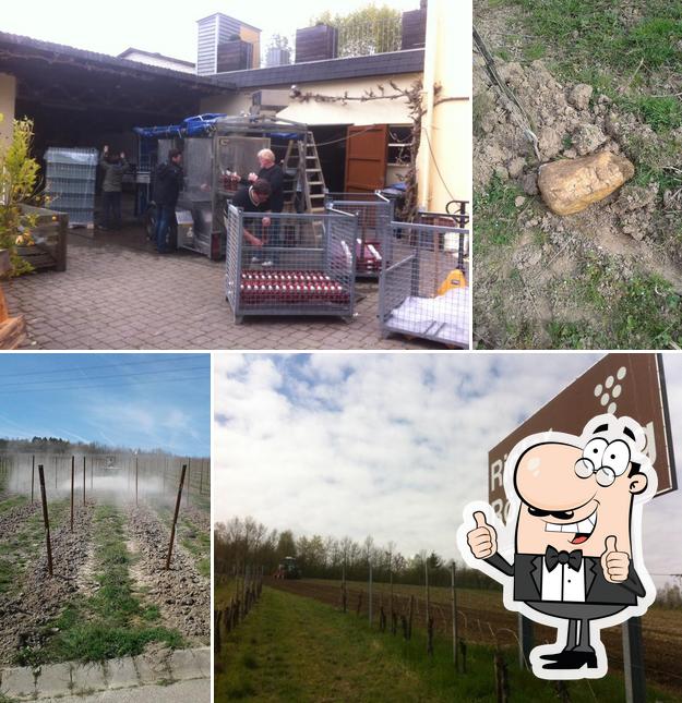 Weingut Reis-Oberbillig