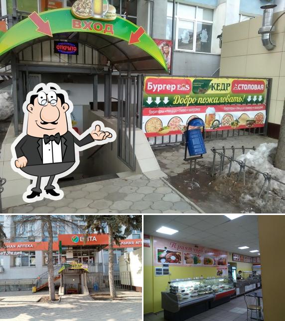 Кедр