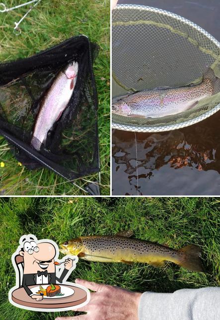 Harelaw Trout Fishery and Coffee Shop
