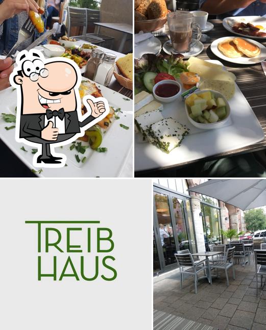 Treibhaus