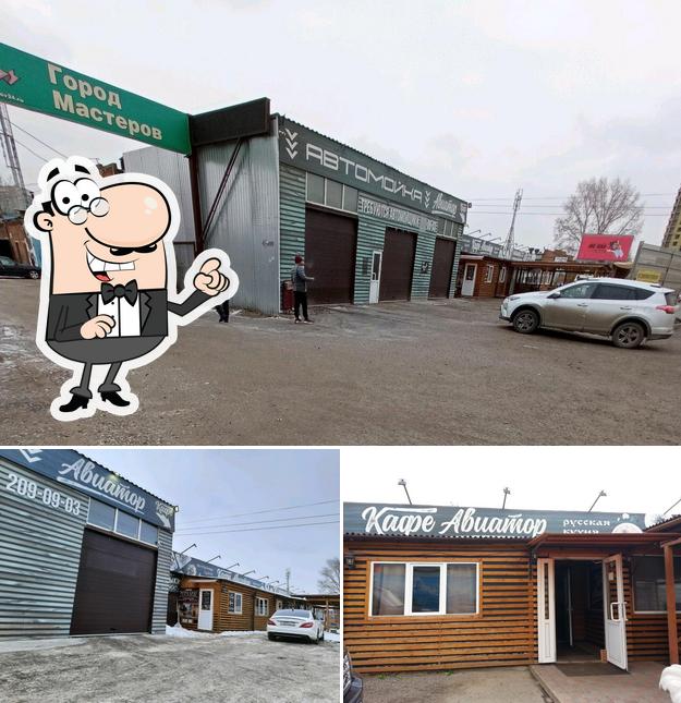Авиатор