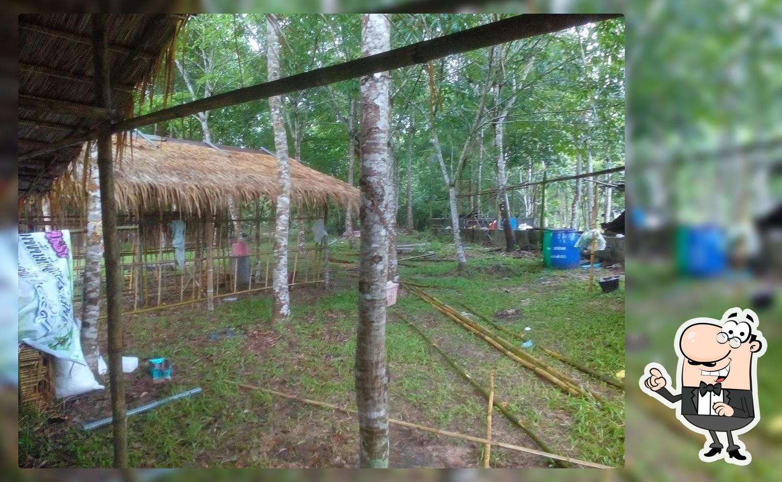 บ้านสวน Ari Ant