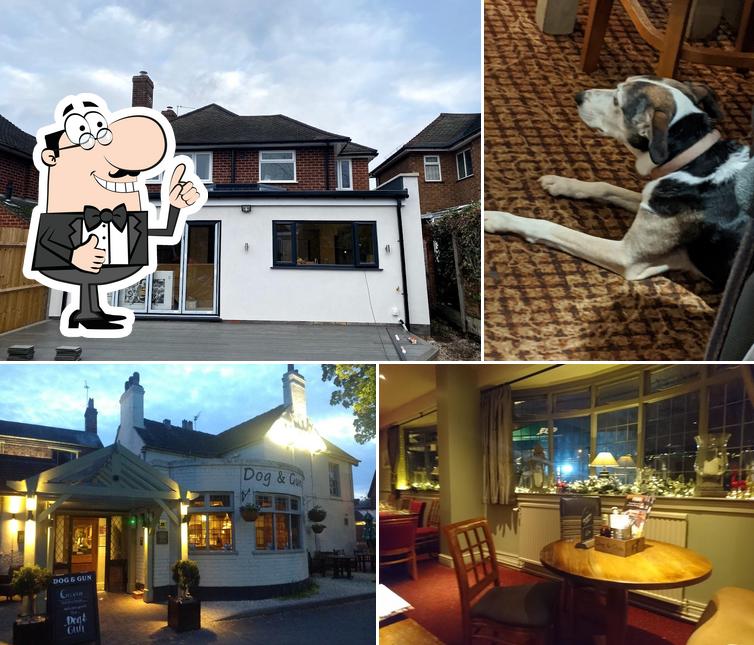 The Dog And Gun