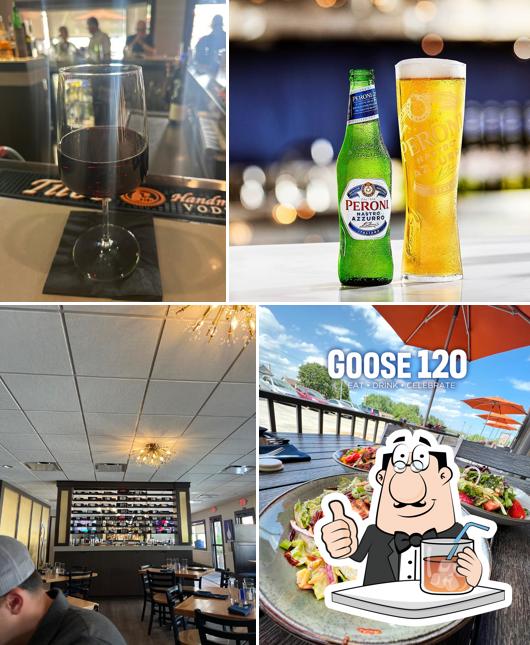 Goose120
