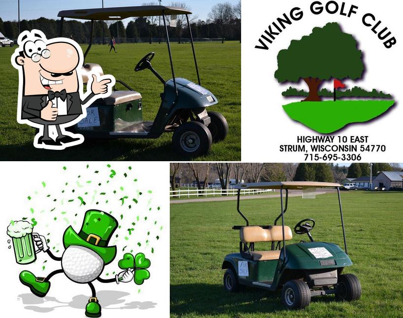 Viking Golf Club Strum WI