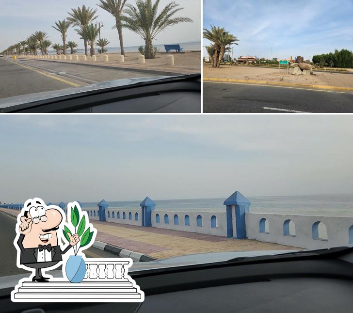 عربة sea life