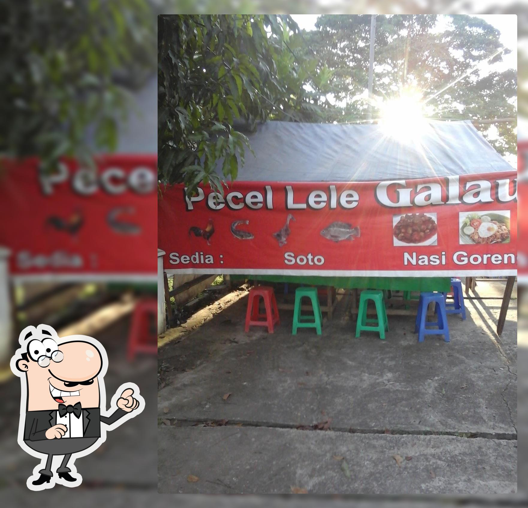 Pecel Lele Galau