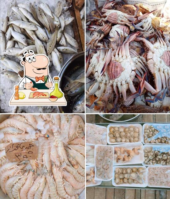 أسماك نجمة السويس