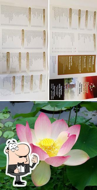 Happy Garden