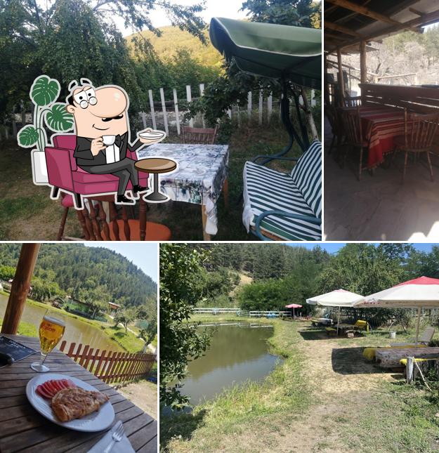 FISHING & COOKING VELINGRAD