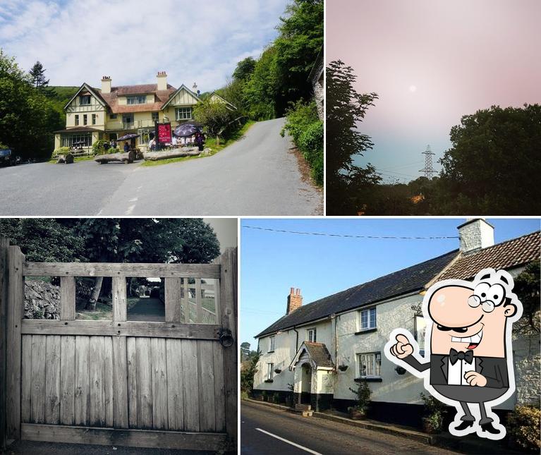 The Hunters Inn Newton Tracey