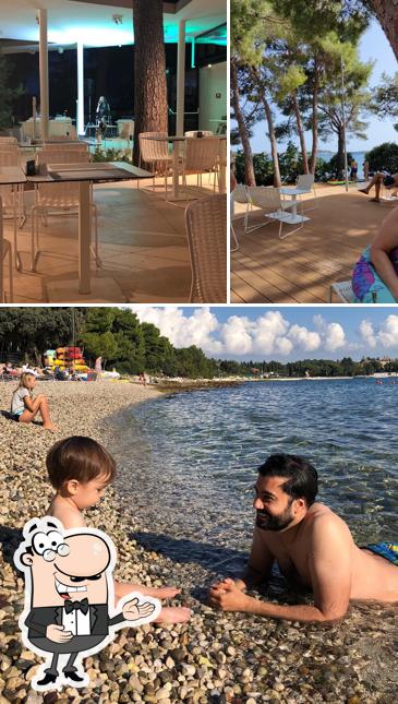 Restaurant Marsea