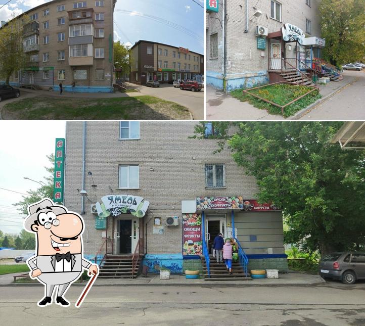 Хмель