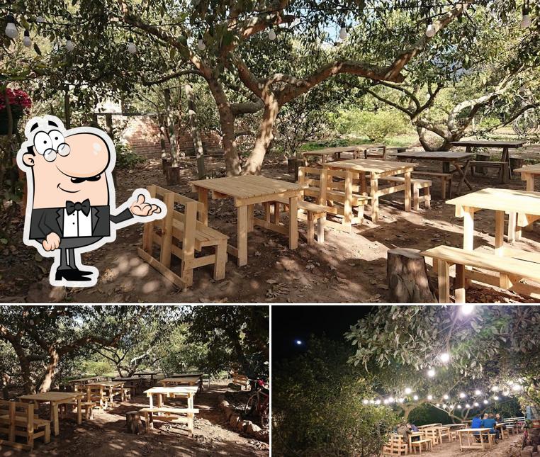 BEER TREE