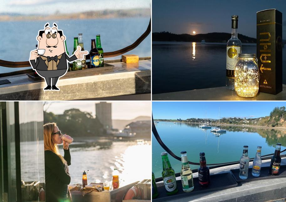 Raglan Boat Charters