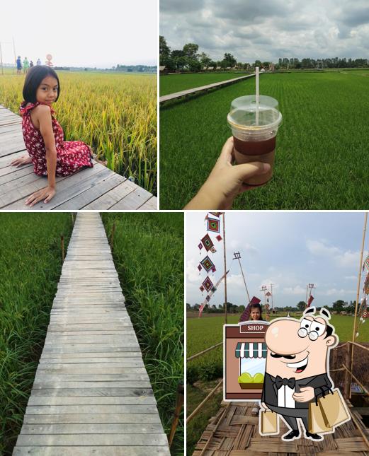 นาบุญวัดทุ่งสนุ่นรัตนาราม