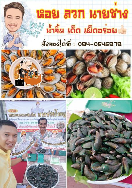 แซมมี่ คาแรคเตอร์ อิสระภาพแห่งชีวิต