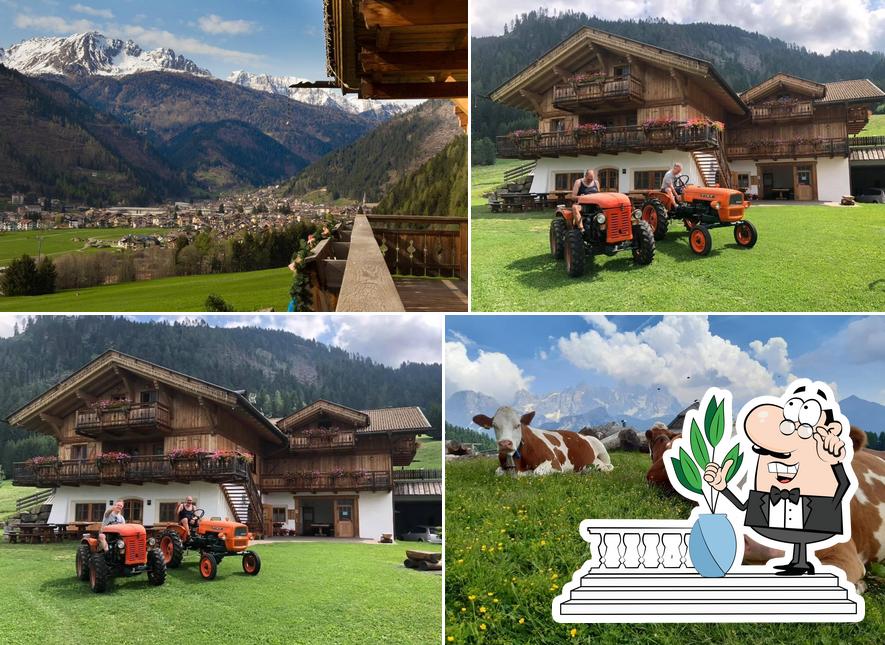 Agritur Maso Lena