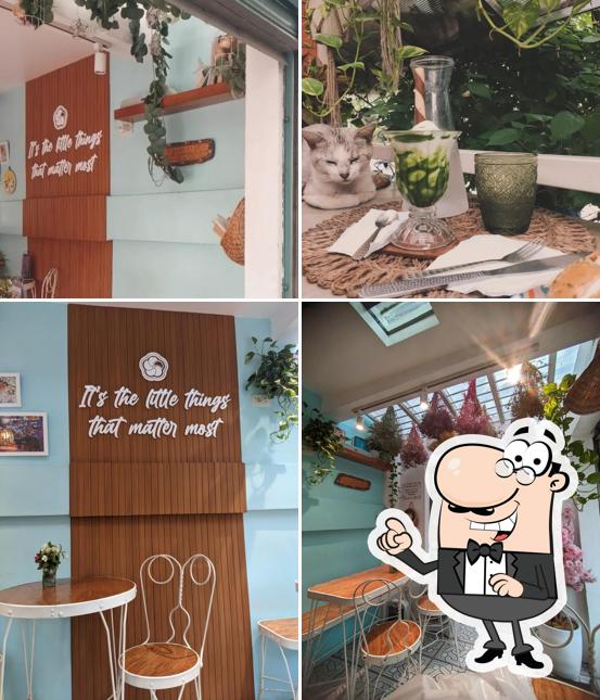Little Hailey's Cafe