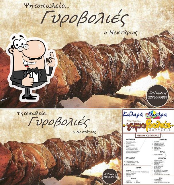 Gyrovolies ''nektarios''