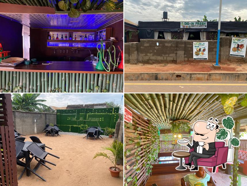 Dig_In Fresh Restaurants and Lounge