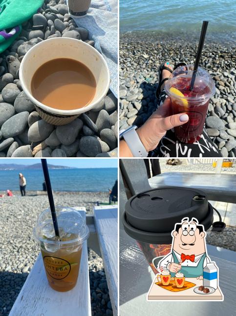 Coffee Shteba Group