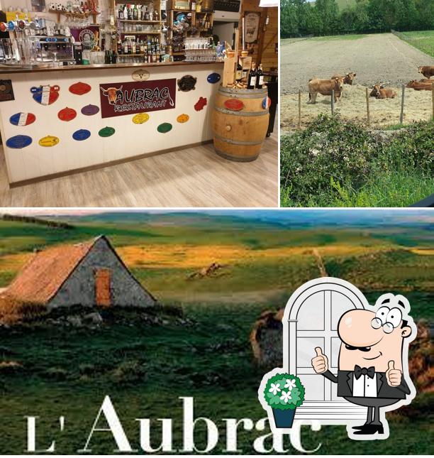 Aubrac