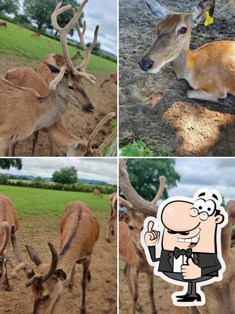 Sky Park Farm