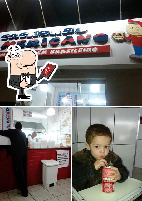 Cachorro Americano