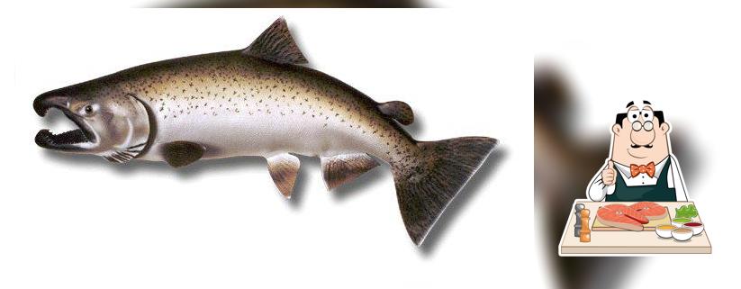 Ivory King Seafoods