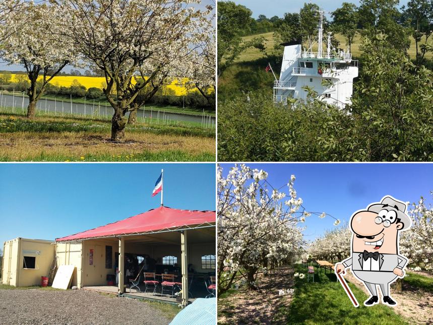 Obstcafé Warleberg