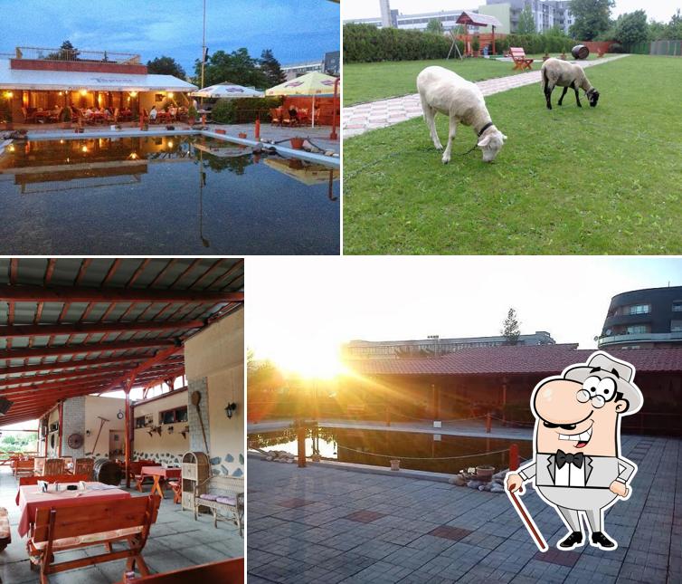 PLAZAMOS Restaurant - Gazdovský Dvor