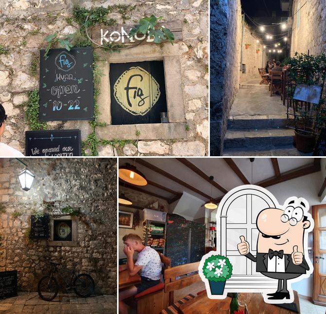 Fig Hvar