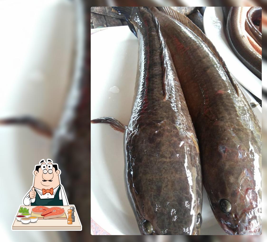 ร้าน ร่มไทรลาบเป็ด
