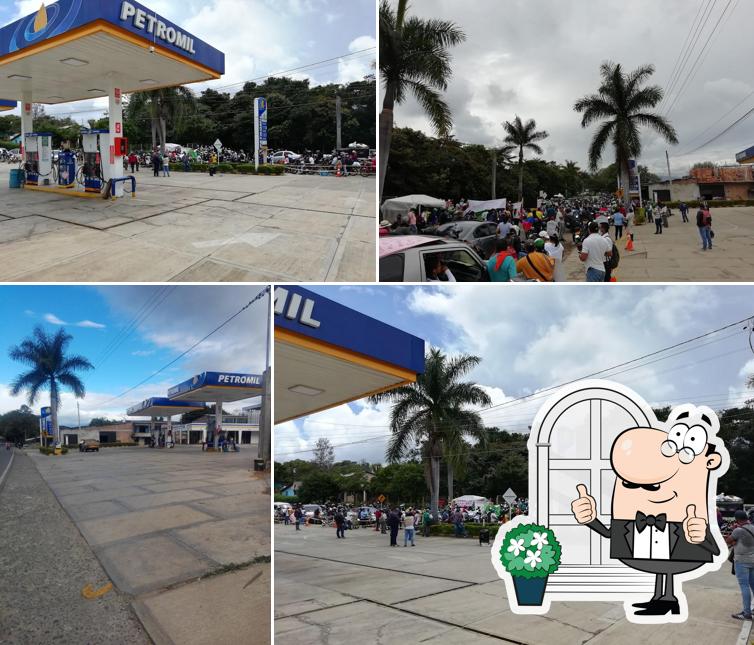 Petromil Altos De Piendamo