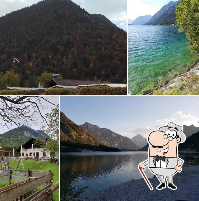 MusterAlpe Plansee