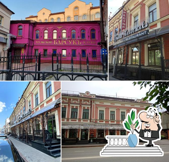 Приют холостяка