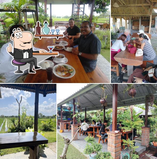IGOR TALOT Agro Resto